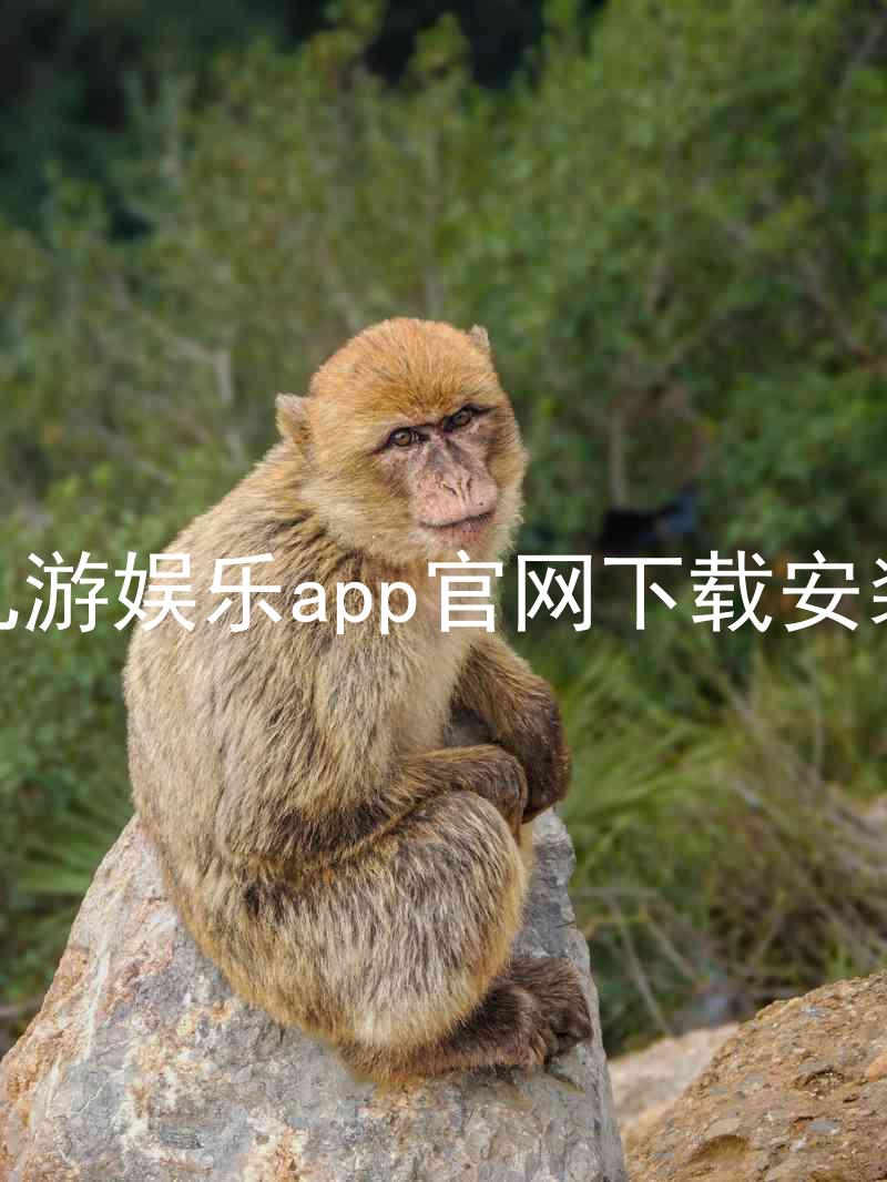 九游娱乐app官网下载安装